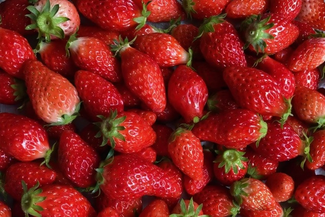 いちご